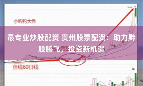 最专业炒股配资 贵州股票配资:助力黔股腾飞,投资新机遇