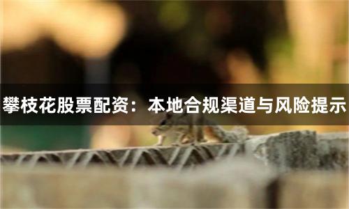 攀枝花股票配资：本地合规渠道与风险提示